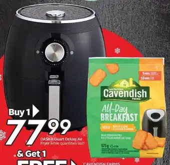 DASH 6 Quart Deluxe Air Fryer