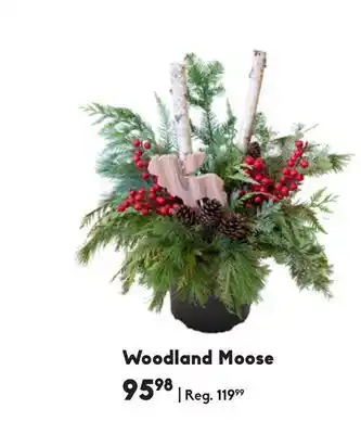 Woodland moose