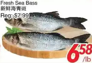 Foody World Fresh sea bass offer