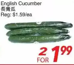 Foody World English cucumber offer