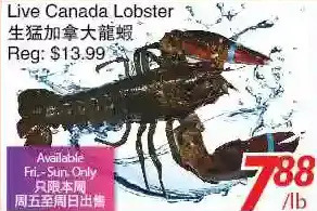 Foody World Live canada lobster offer