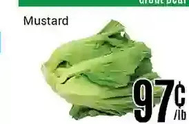 Nations Fresh Foods Mustard offer