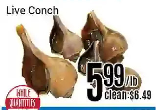 Nations Fresh Foods Live conch offer