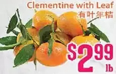 Grant's Foodmart Clementine with leaf offer