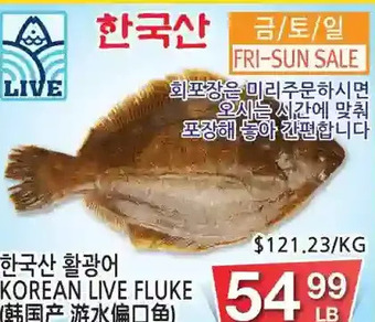 H-Mart Korean live fluke offer