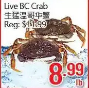 Hong Tai Supermarket Live bc crab offer