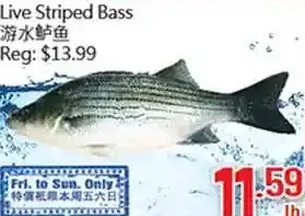 Hong Tai Supermarket Live striped bass offer