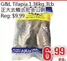 G&l tilapia