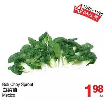 T&T Supermarket Bok choy sprout offer