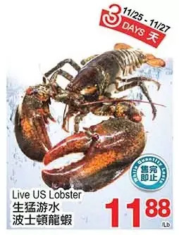 T&T Supermarket Live us lobster offer