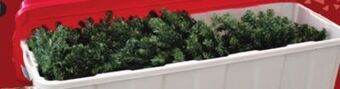 Canadian Tire 193l tree tote offer