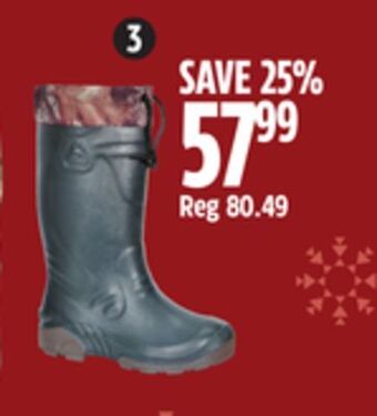 Canadian Tire Kamik icecrush waterproof boots offer