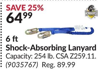 Princess Auto 6 ft shock-absorbing lanyard offer