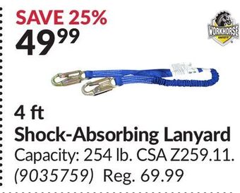 Princess Auto 4 ft shock-absorbing lanyard offer