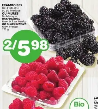 IGA Raspberries or Blackberries 170 g offer