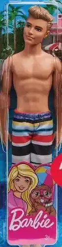 Giant Tiger Ken beach doll offer