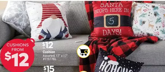 Giant Tiger Cushion offer