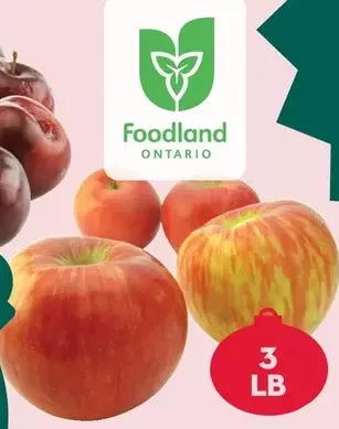 Giant Tiger 3 lb honeycrisp apples offer