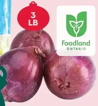 Giant Tiger 3 lb red onions offer