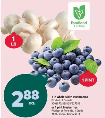 Giant Tiger 1 lb whole white mushrooms offer