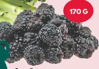 Giant Tiger 170 g blackberries offer