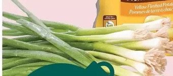 Giant Tiger Green onions offer