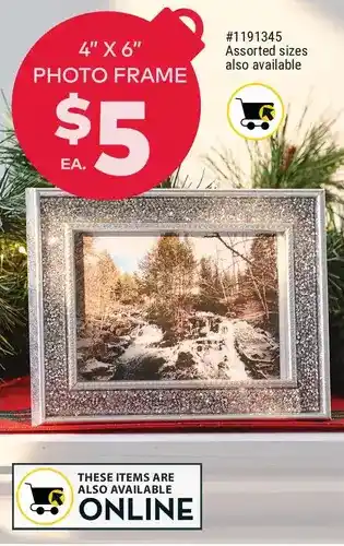 Giant Tiger 4" x 6" photo frame offer