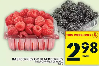 Food Basics Raspberries or blackberries offer
