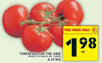 Food Basics Tomatoes on the vine offer