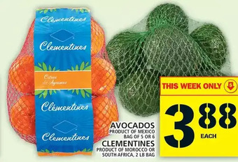 Food Basics Avocados or clementines offer