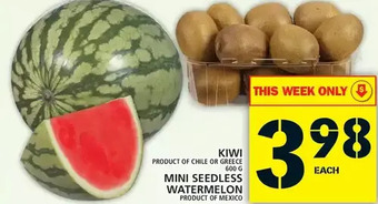 Food Basics Kiwi | mini seedless watermelon offer