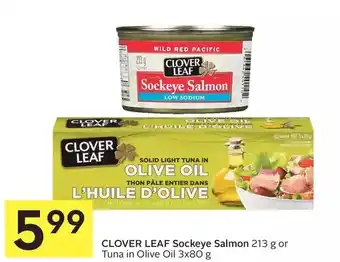Foodland Clover leaf sockeye salmon or tuna in olive oil offer