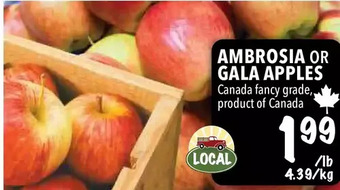 Farm Boy Ambrosia or gala apples offer