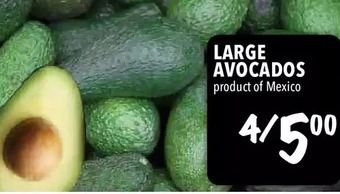 Farm Boy Large avocados offer