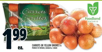 Metro Carrots or yellow onions offer