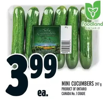 Metro Mini cucumbers offer