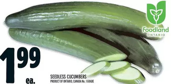 Metro Seedless cucumbers offer