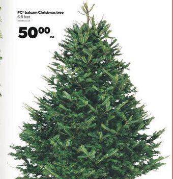 Real Canadian Superstore Pc® balsam christmas tree, 6-8 feet offer