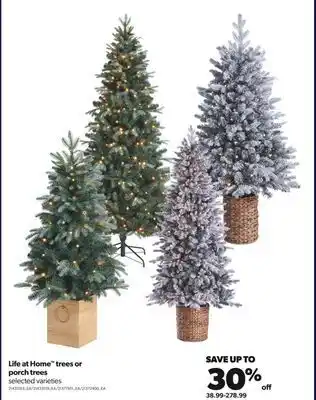 Real Canadian Superstore Life at home™ trees or porch trees offer