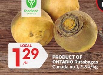 Foodland Rutabagas canada no 1 offer