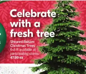 Sobeys Sheared balsam christmas trees offer