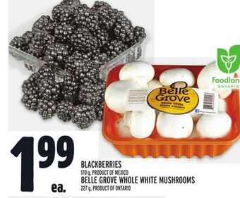 Metro Blackberries offer