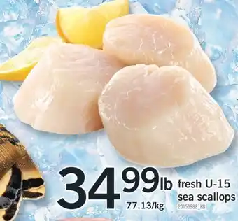 Fortinos Fresh u-15 sea scallops offer