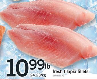 Fortinos Fresh tilapia fillets offer