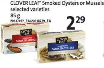Loblaws Clover leaf® smoked oysters or mussels, 85 g offer