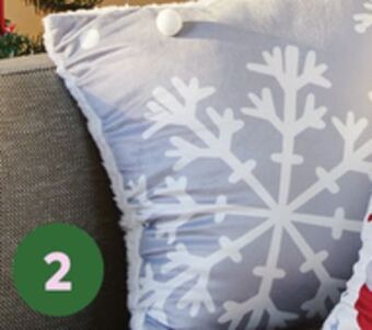 Giant Tiger Cushion offer