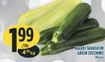 Marché Adonis Baladi squash or green zucchinis offer