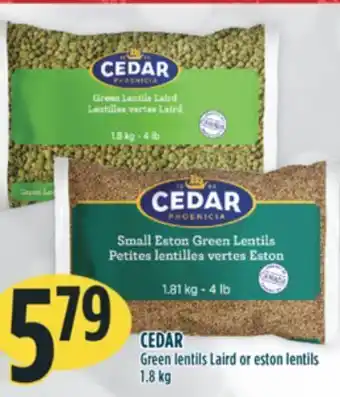 Marché Adonis Cedar green lentils laird or eston lentils offer