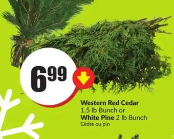 FreshCo Western red cedar 1.5 bunch or white pine 2 lb bunch offer