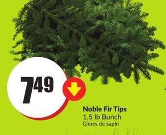 FreshCo Noble fir tips 1.5 lb bunch offer